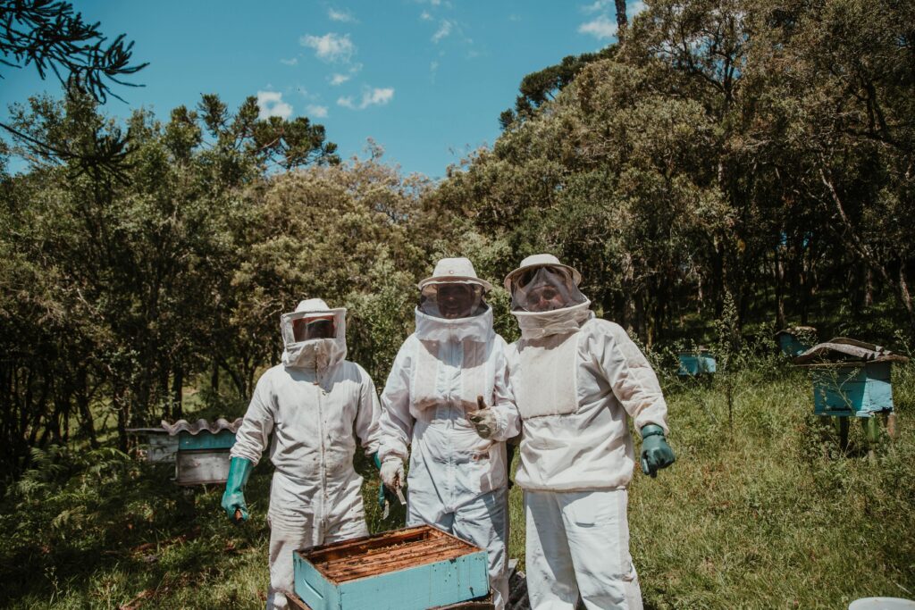Three beekeepers in protective gear tending hives in a sunny forest apiary.